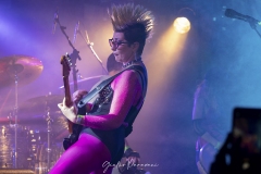 14_Punk-Rock-Night