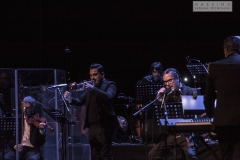 Mike Patton-1