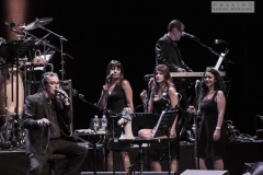 Mike Patton-14