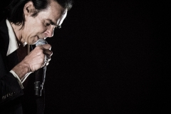 Nick Cave-6